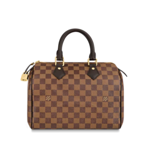 Louis Vuitton Speedy 25